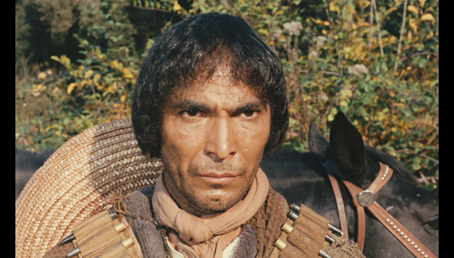 actor José Torres large photo