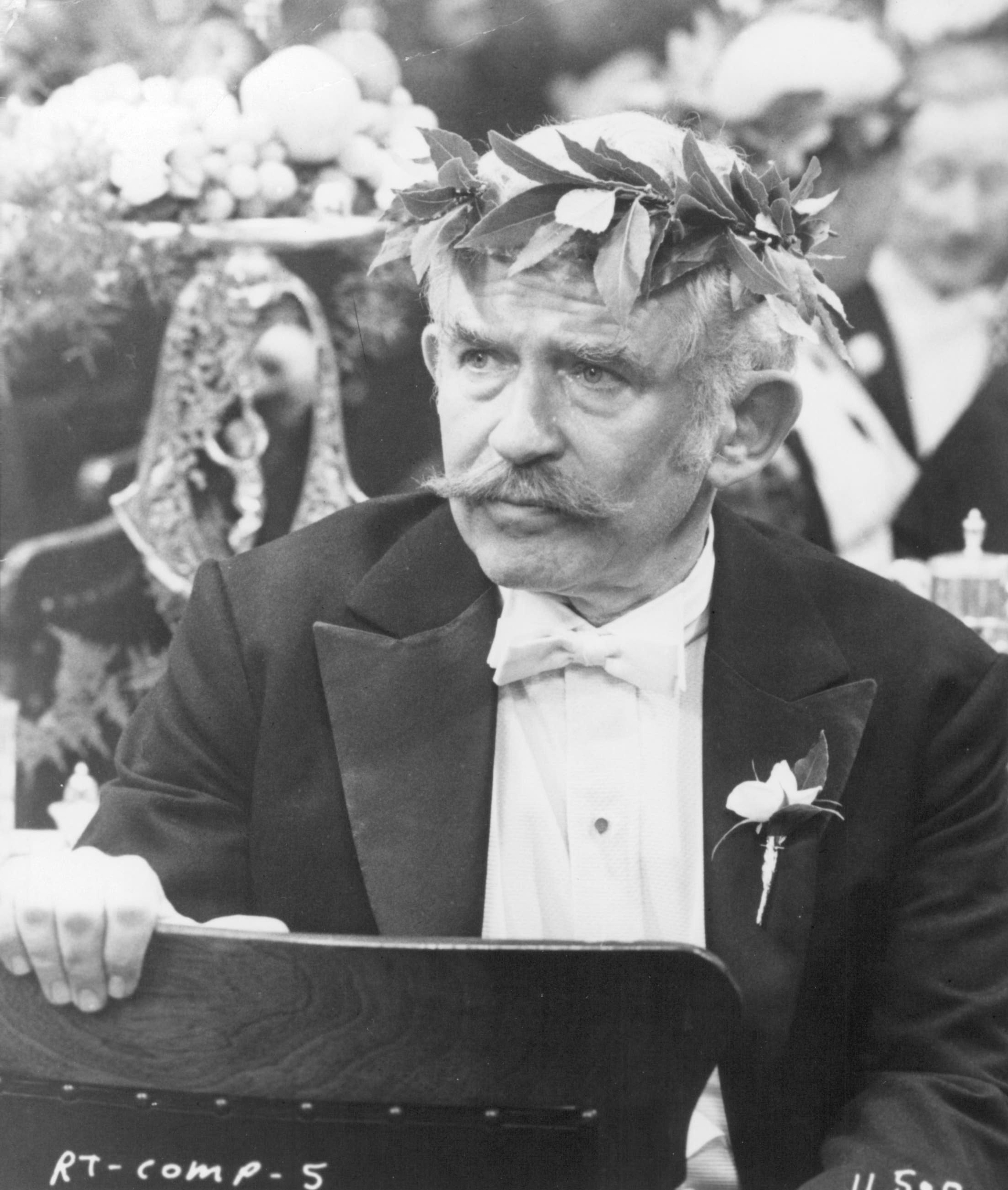 actor Norman Mailer large photo