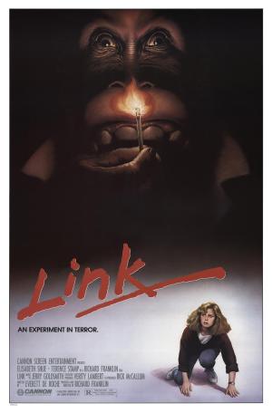 Link [Russian]