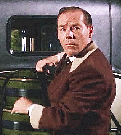 actor Mickey Martin large photo