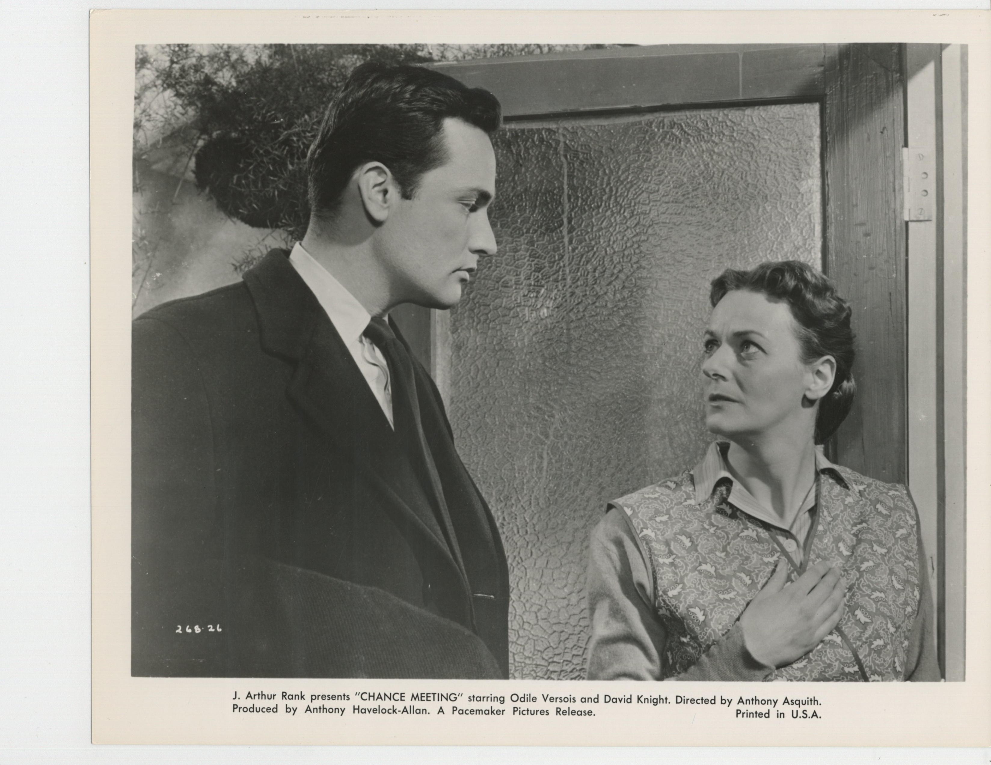 actor David Knight large photo