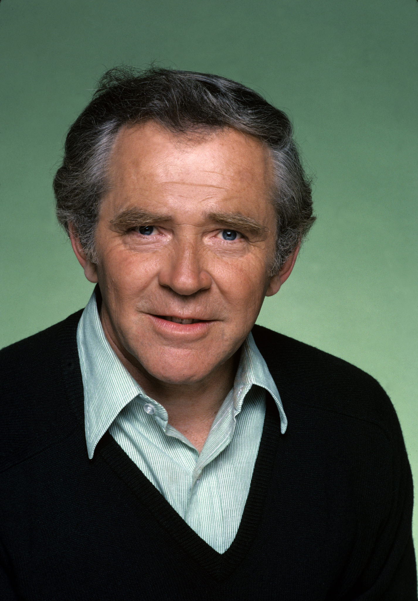 actor James Broderick large photo