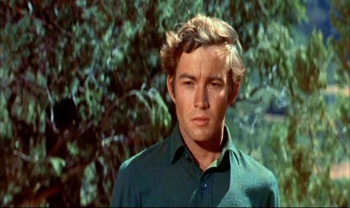 actor Ray Stricklyn large photo