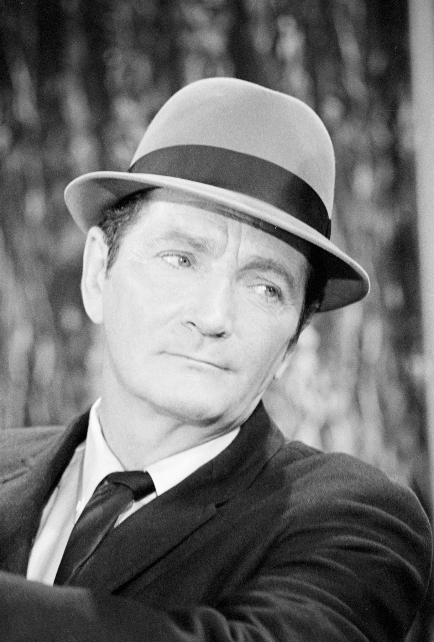 actor Ed Peck large photo