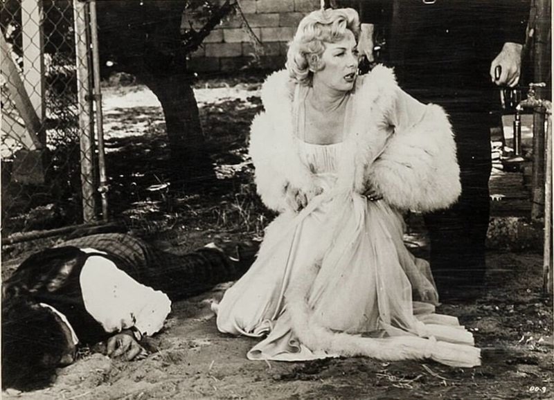 actor Cay Forester large photo