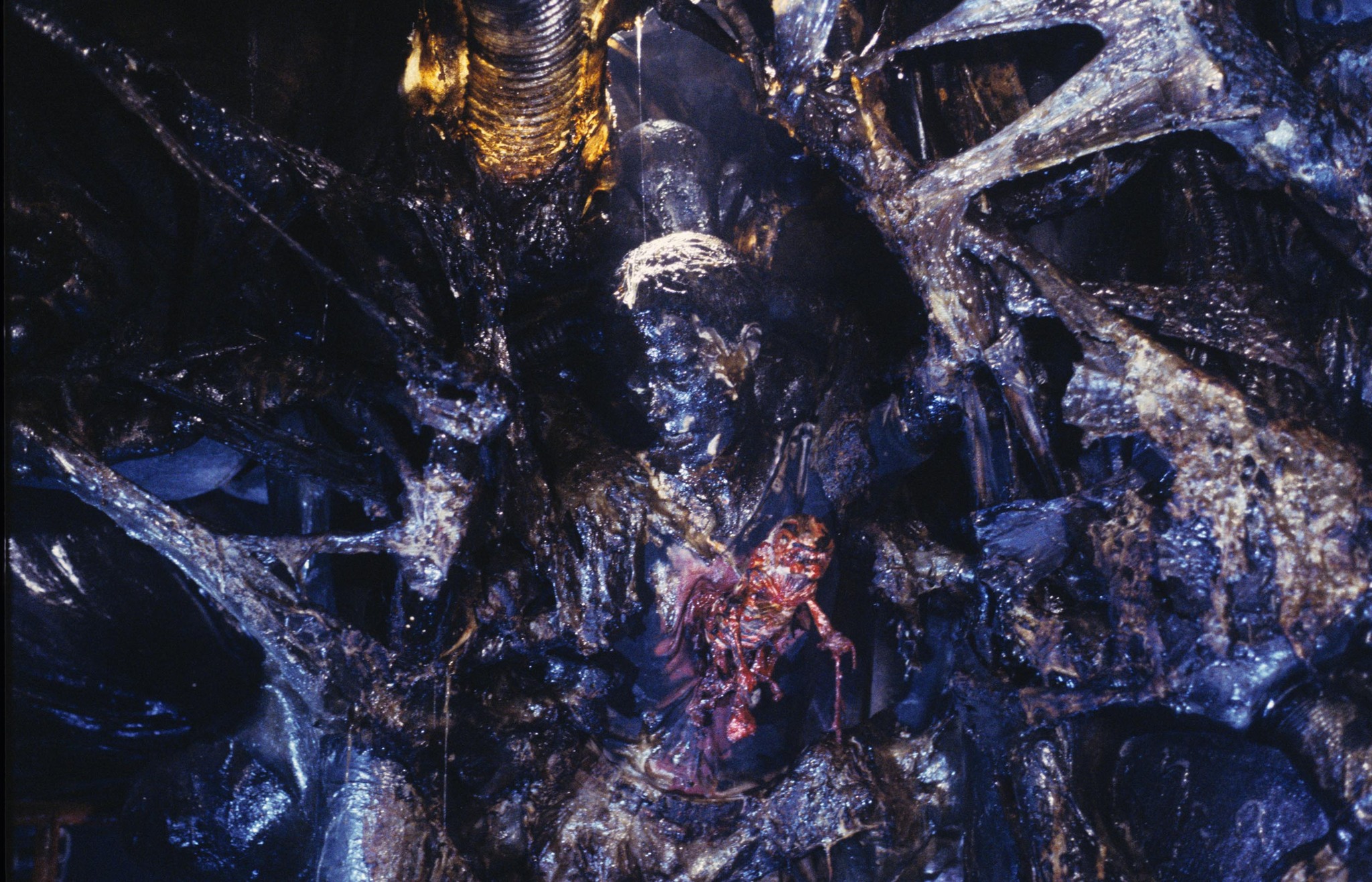 actor Barbara Coles large photo