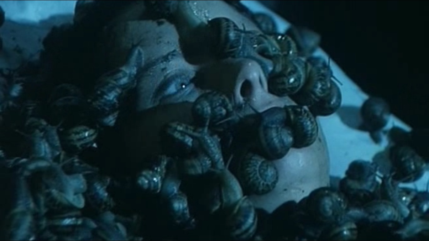 actor Kathi Wise large photo