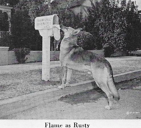 actor Flame large photo