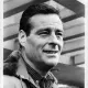 Robert Webber