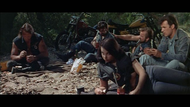 actor Sandra Bettin large photo