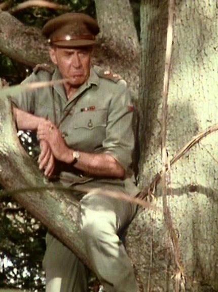 actor Donald Hewlett large photo