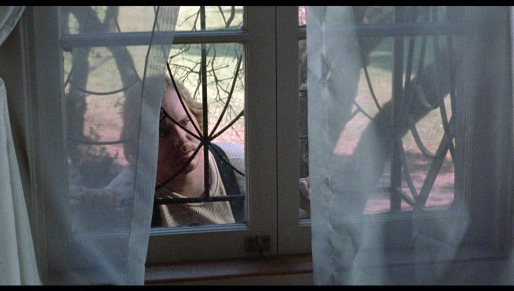 actor Hal Havins large photo