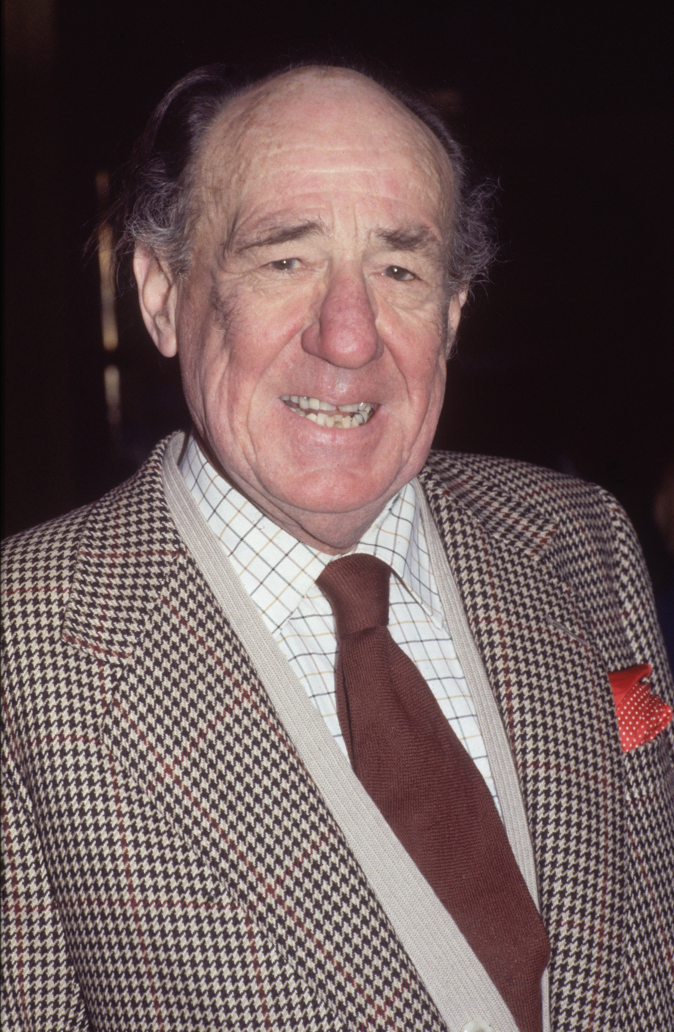 actor Michael Hordern large photo