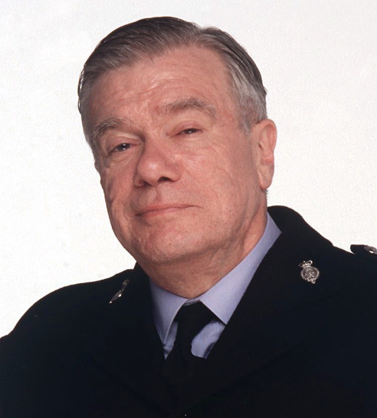 actor William Simons large photo