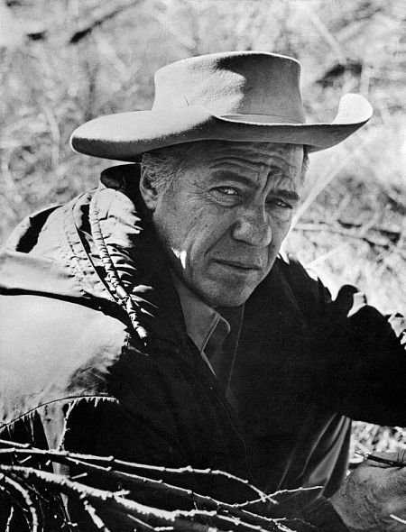 actor Robert Bray large photo