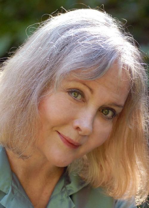 actor Anjanette Comer large photo