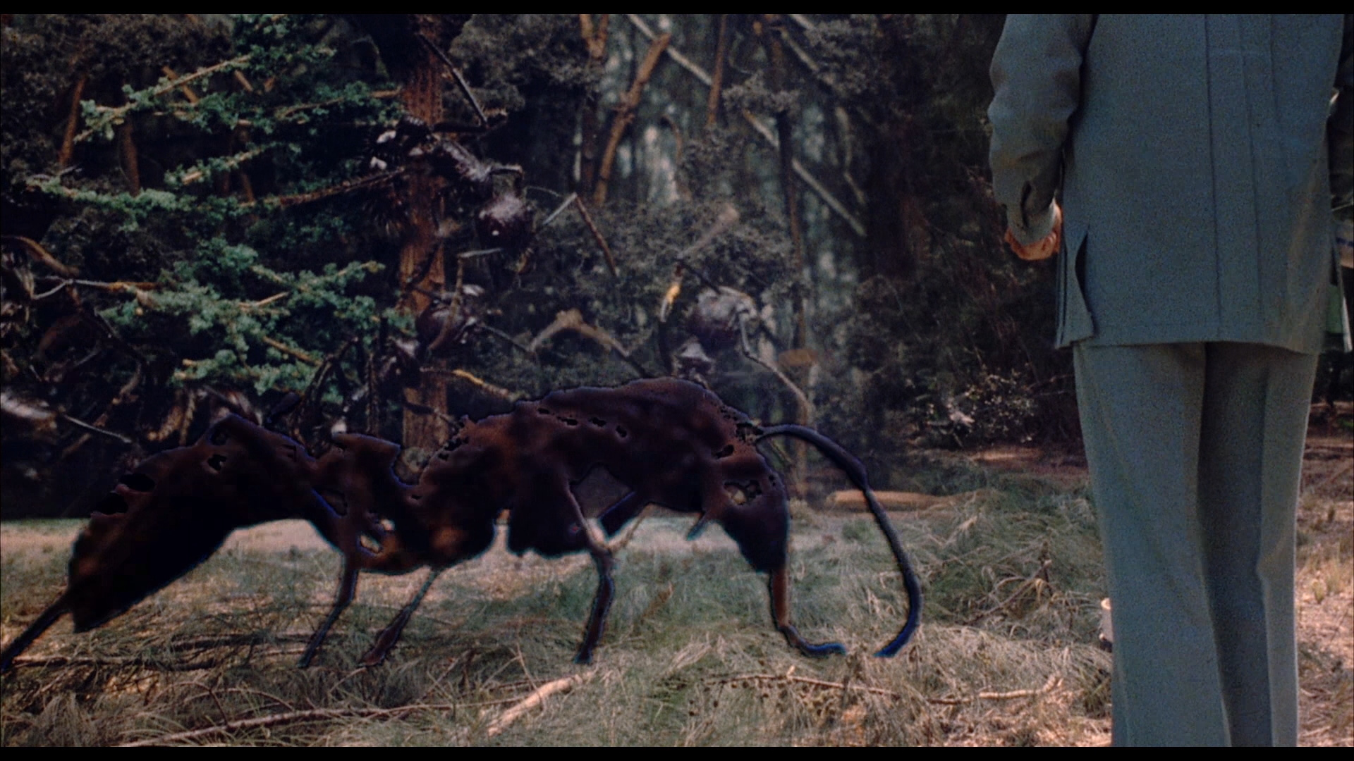 actor Jack Kosslyn large photo