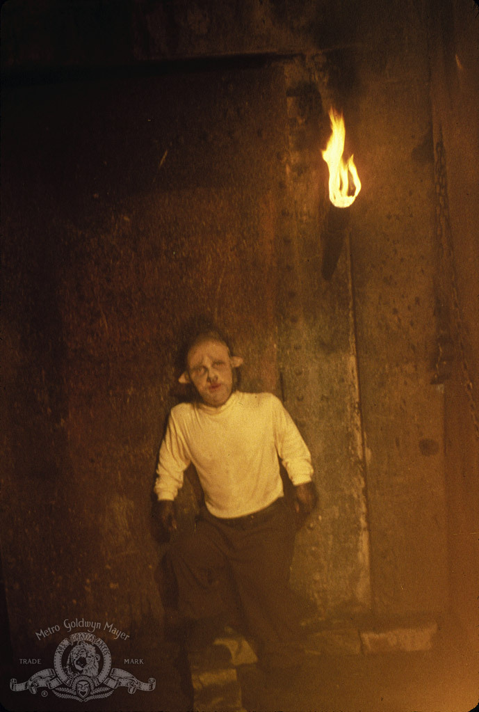 actor Tommy Madden large photo