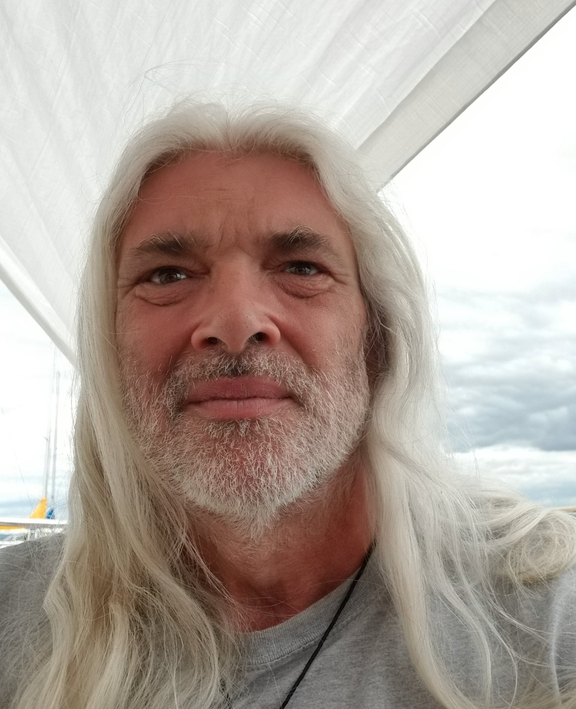 actor Michael Scherer large photo