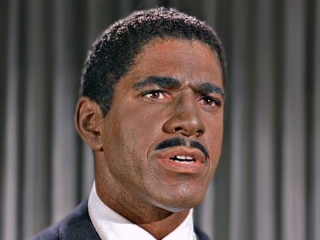 actor Ron Rich large photo