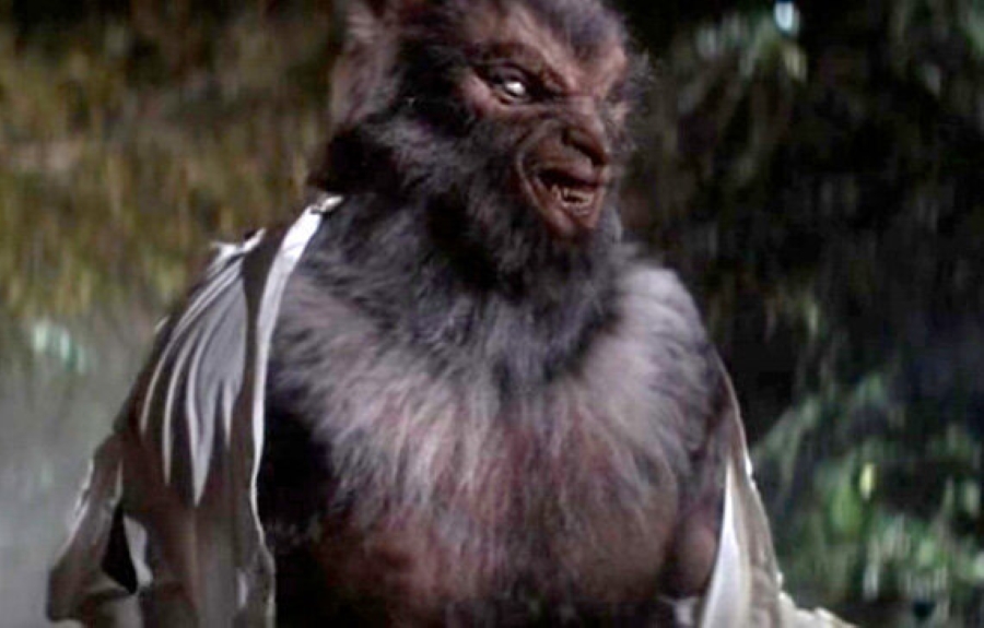 actor Carl Thibault large photo