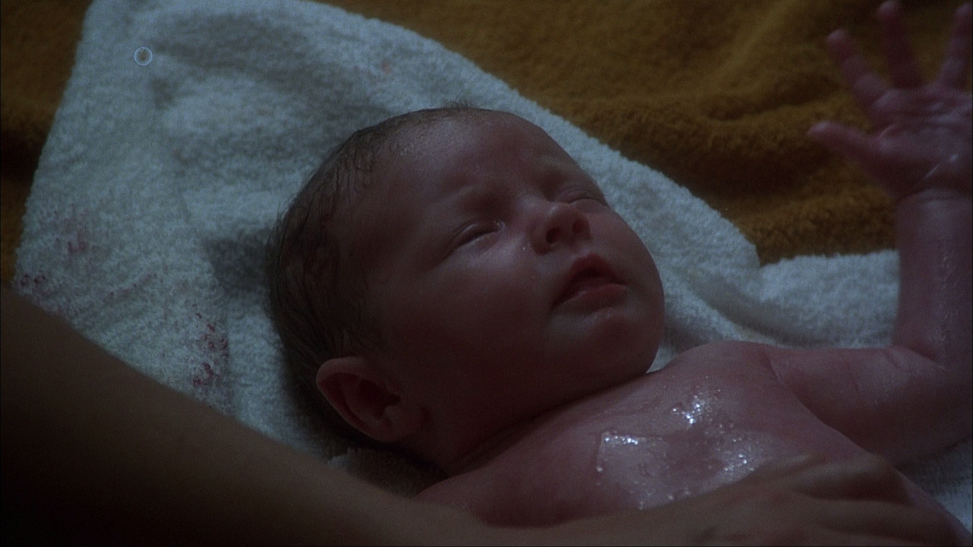 actor Joanne Boorman large photo