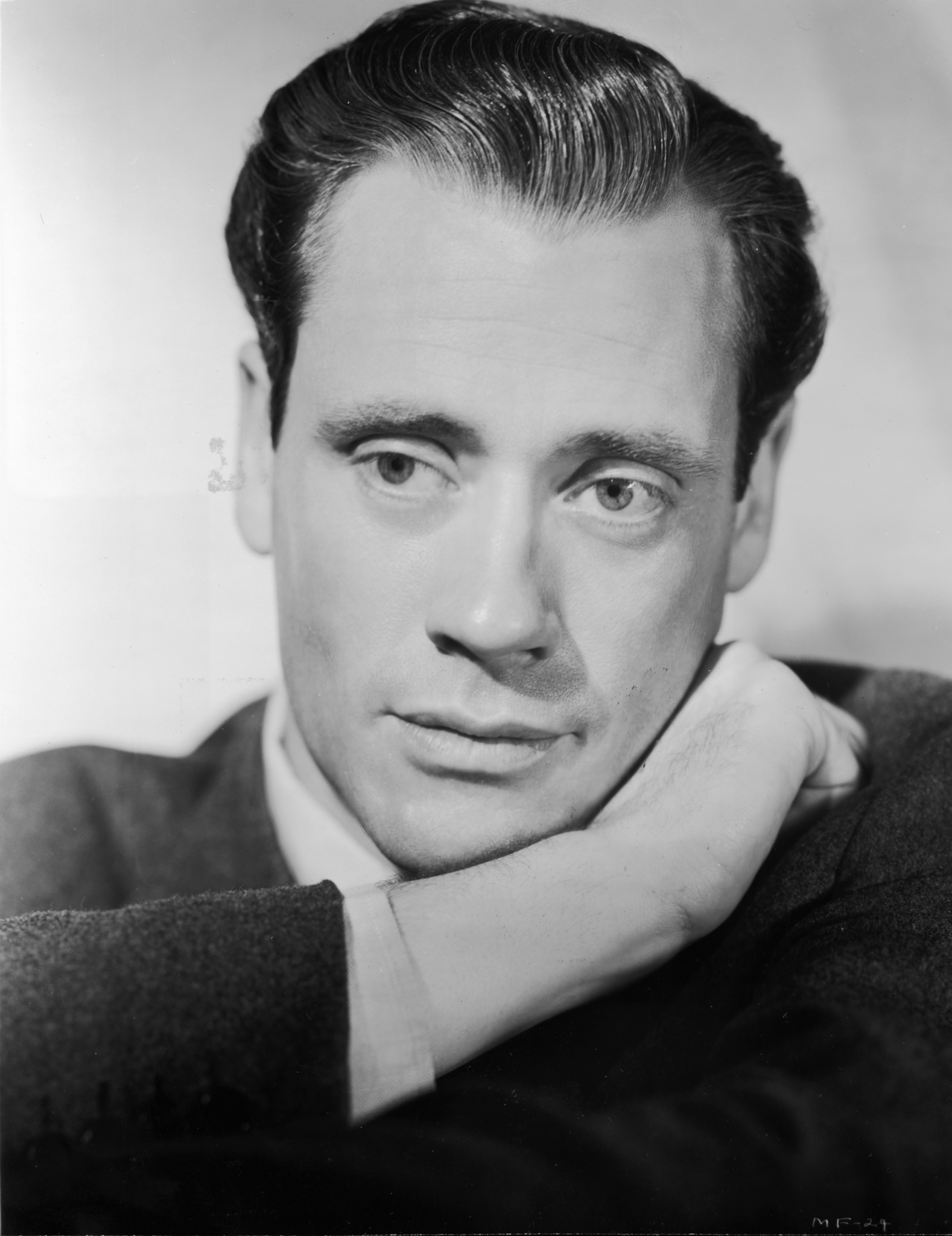 actor Mel Ferrer large photo