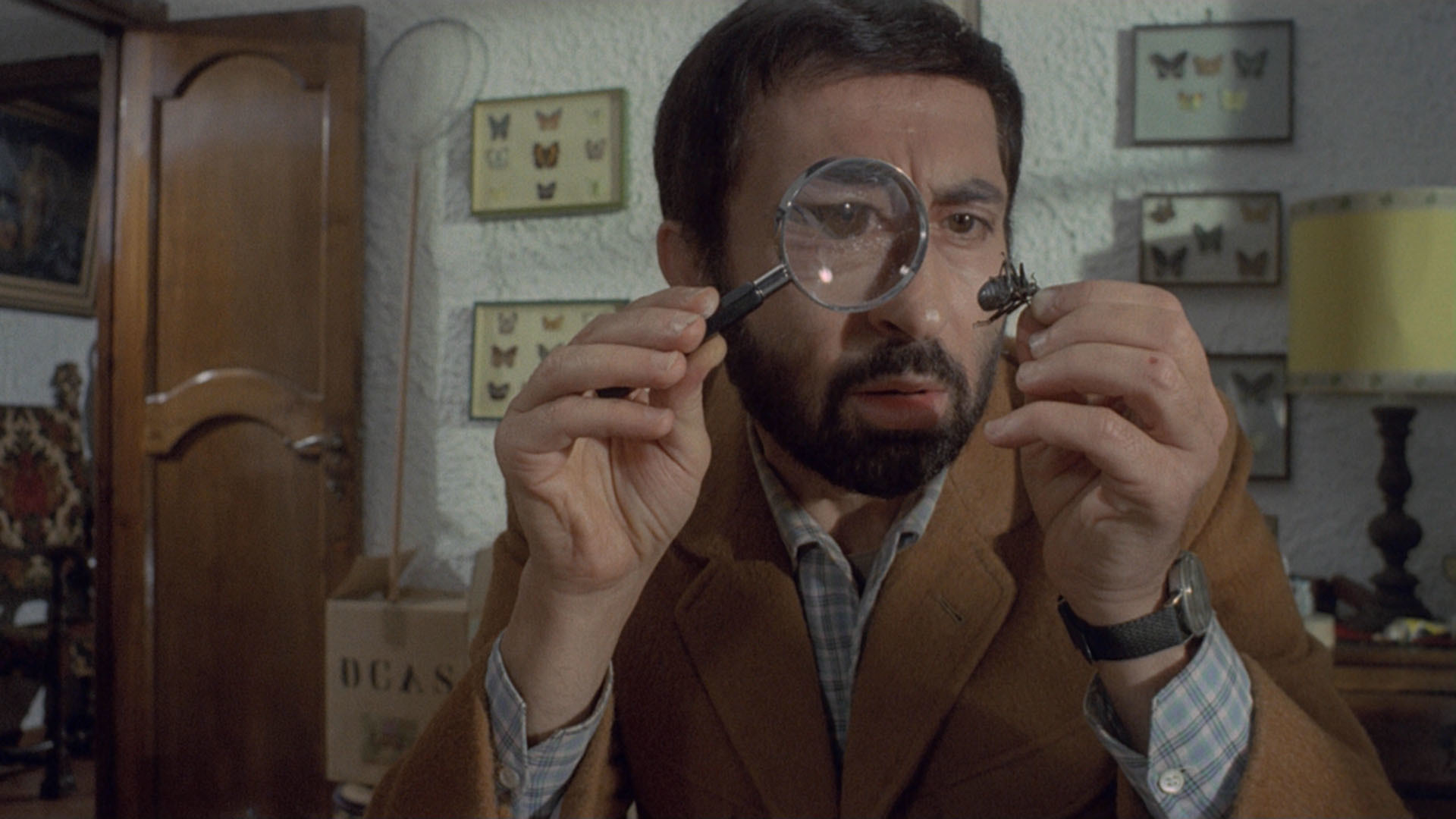 actor Leopoldo Trieste large photo