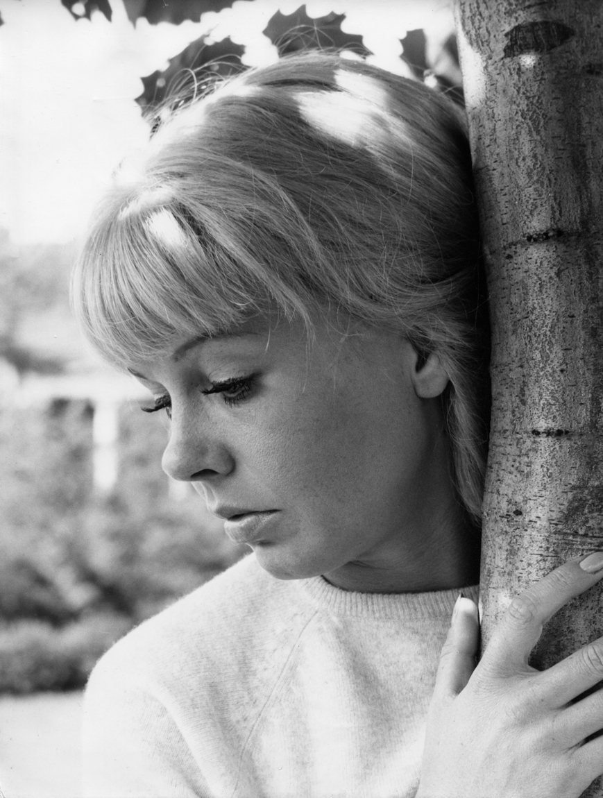 actor Brigitte Wentzel large photo