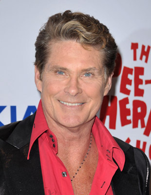 actor David Hasselhoff large photo