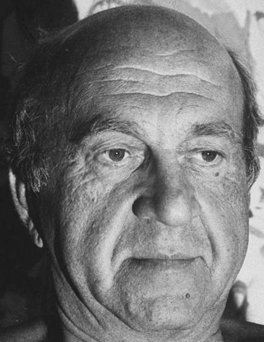 actor Howard Da Silva large photo