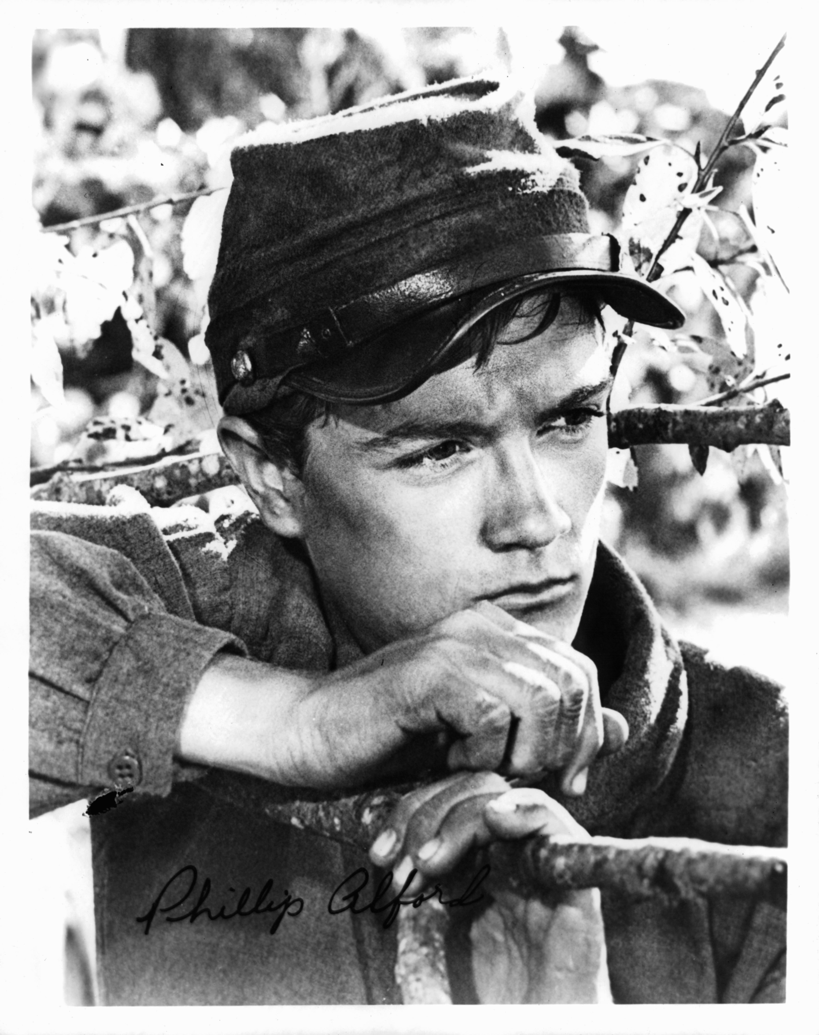 actor Phillip Alford large photo