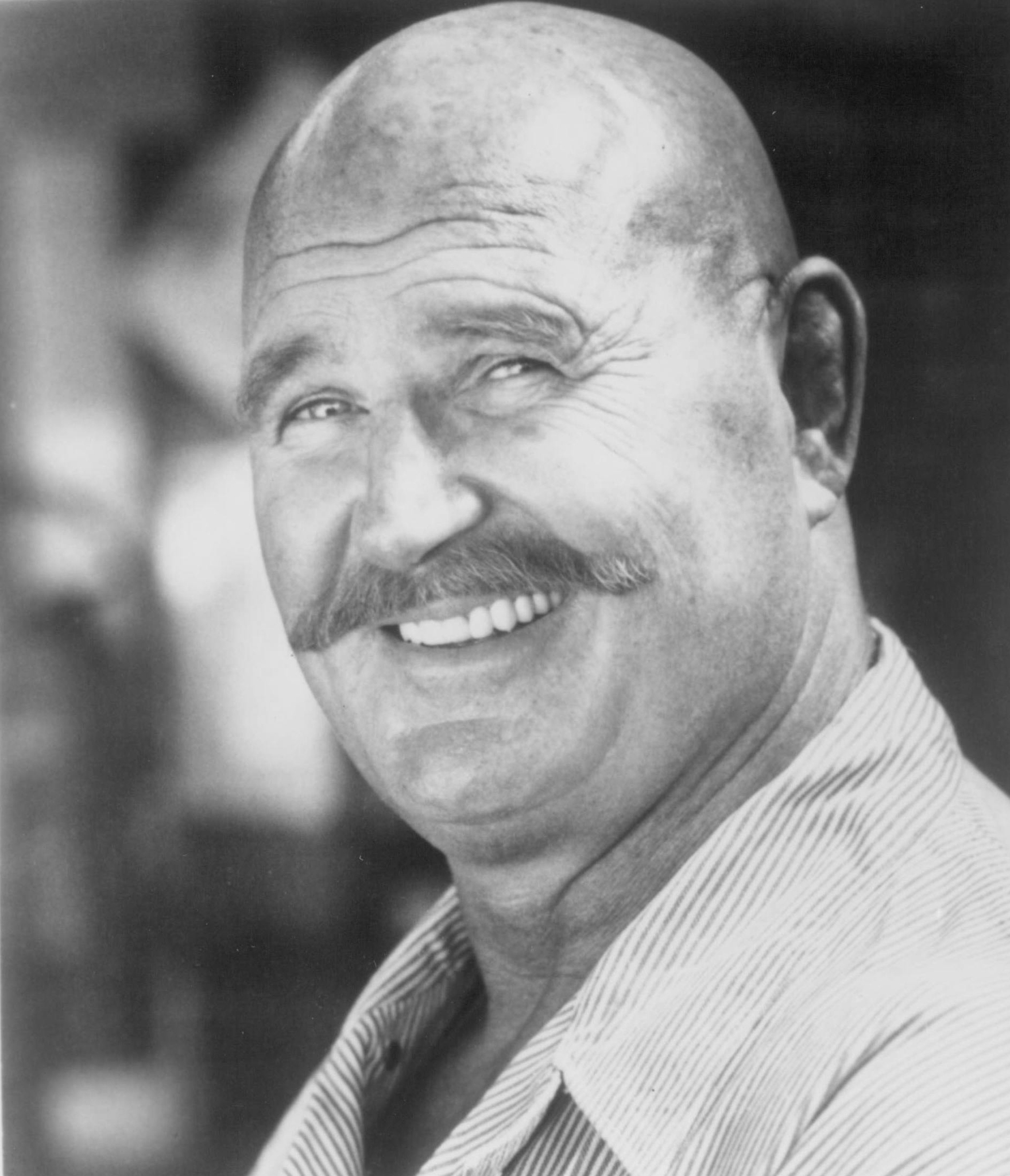 actor H.B. Haggerty large photo