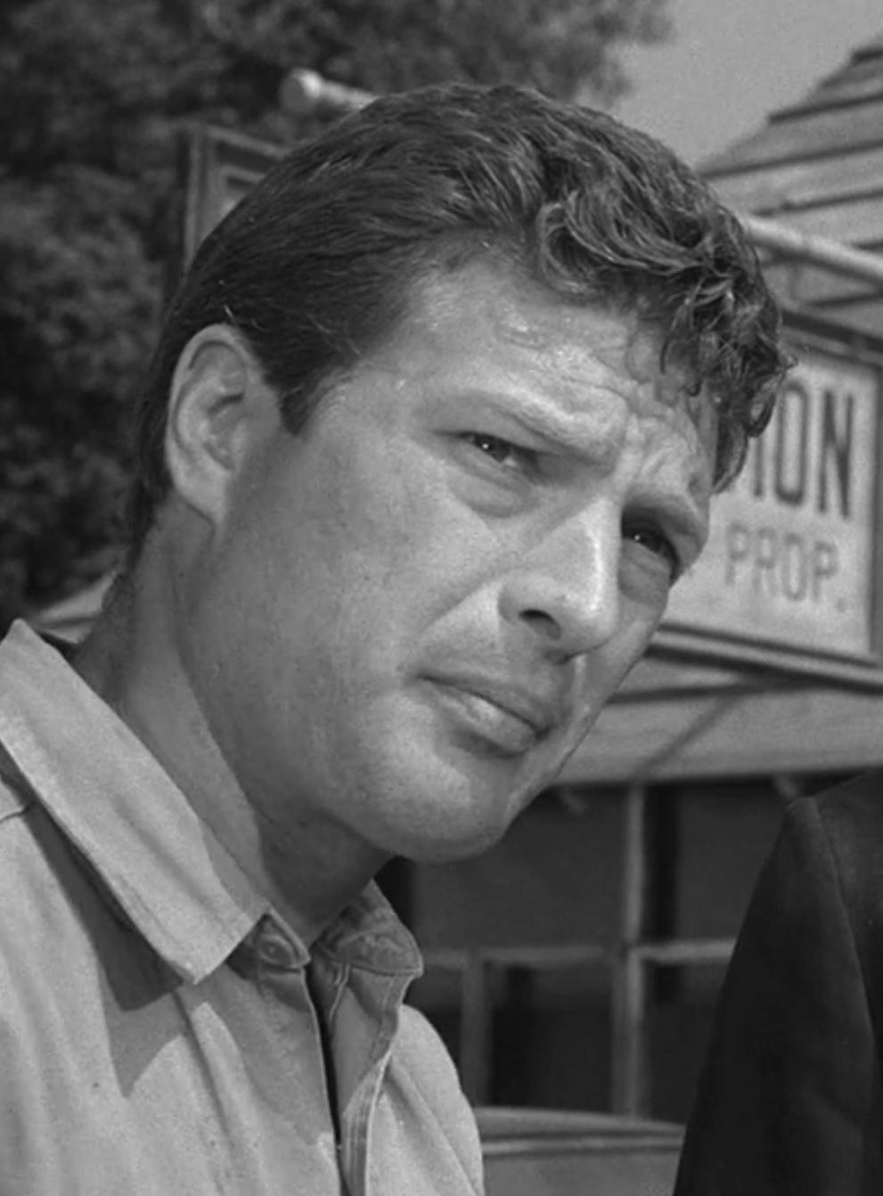 actor Sheridan Comerate large photo