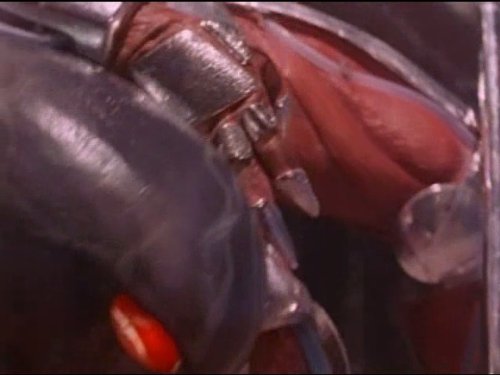 actor Ed Neil large photo