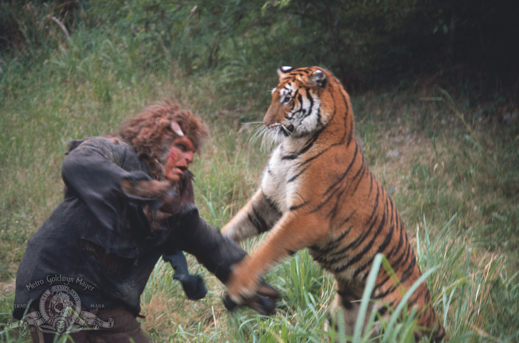 actor Bob Ozman large photo