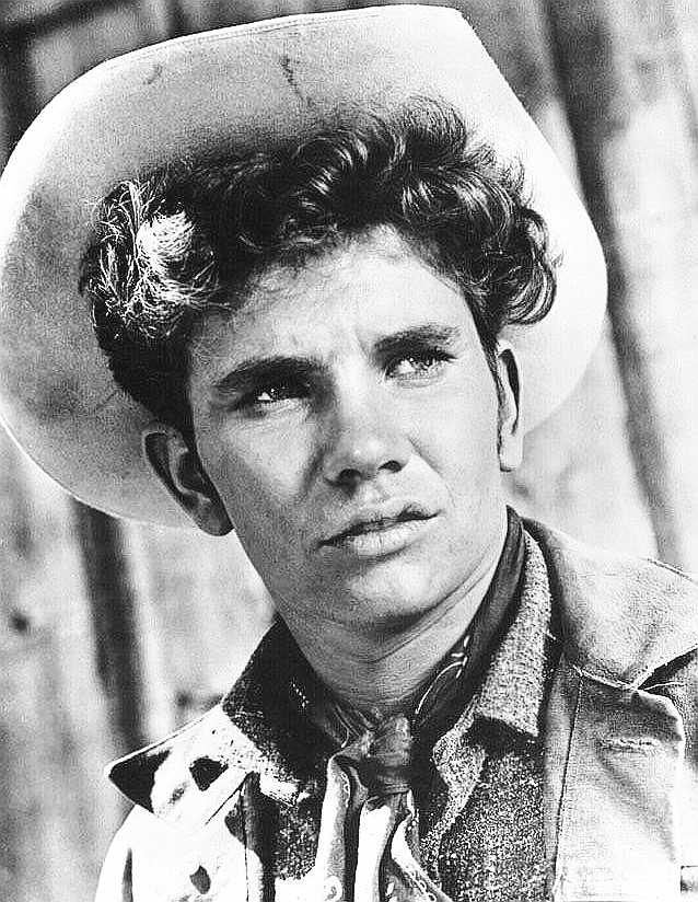 actor Dee Pollock large photo