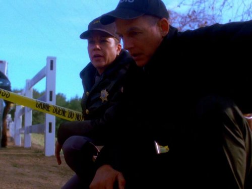 actor Stephanie Hodge large photo