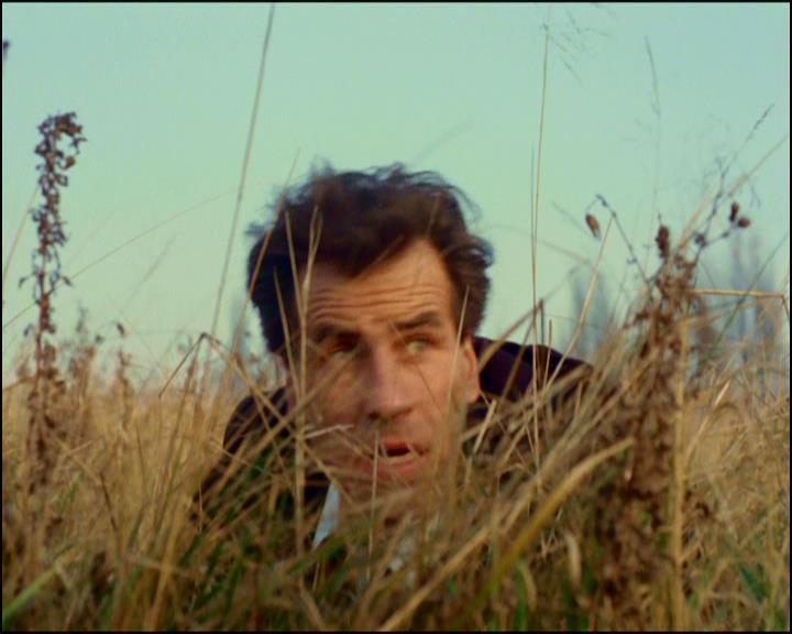 actor Peter Brace large photo