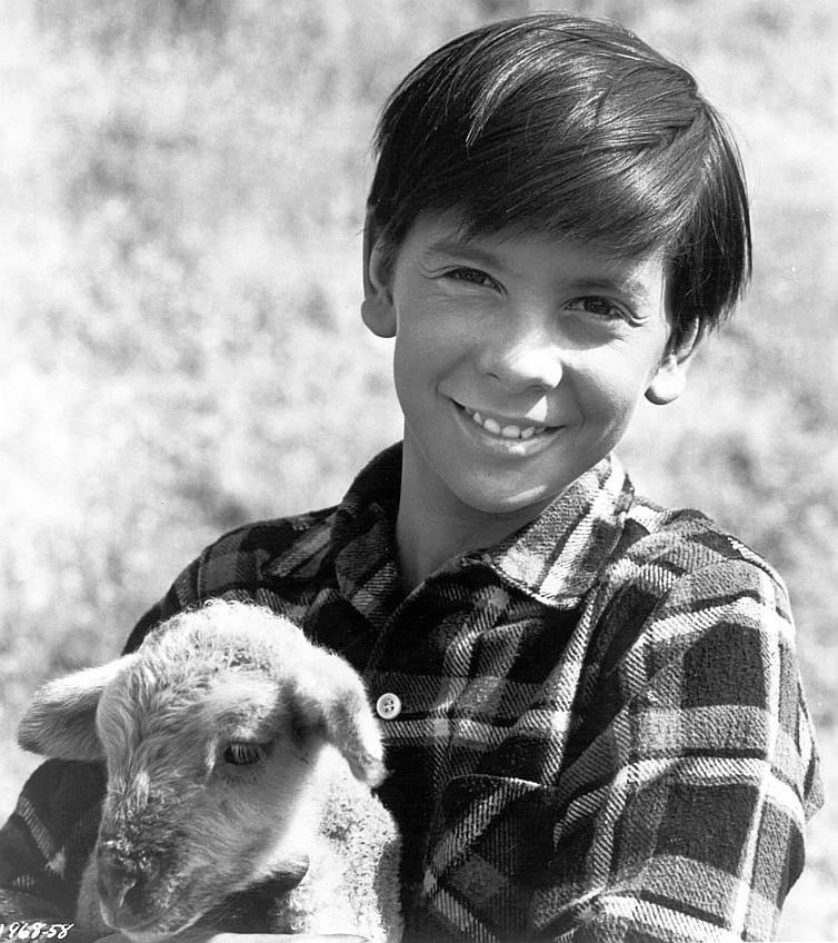 actor Pat Cardi large photo