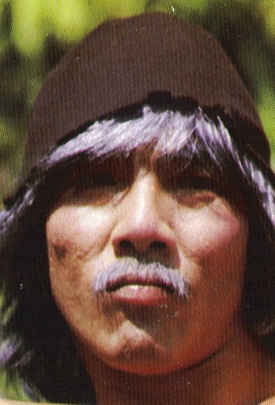 actor Yuet-Sang Chin large photo