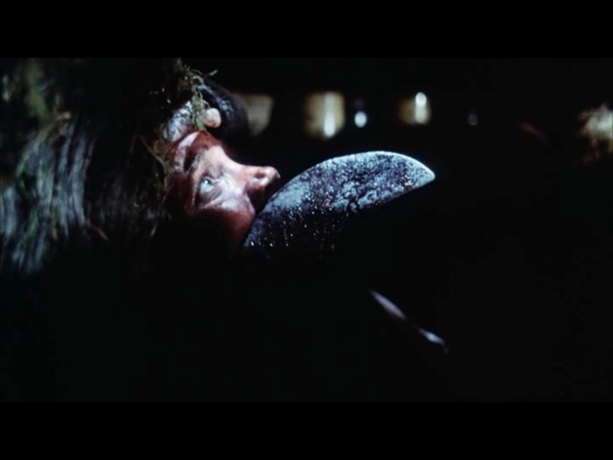 actor Cindy Harrell large photo