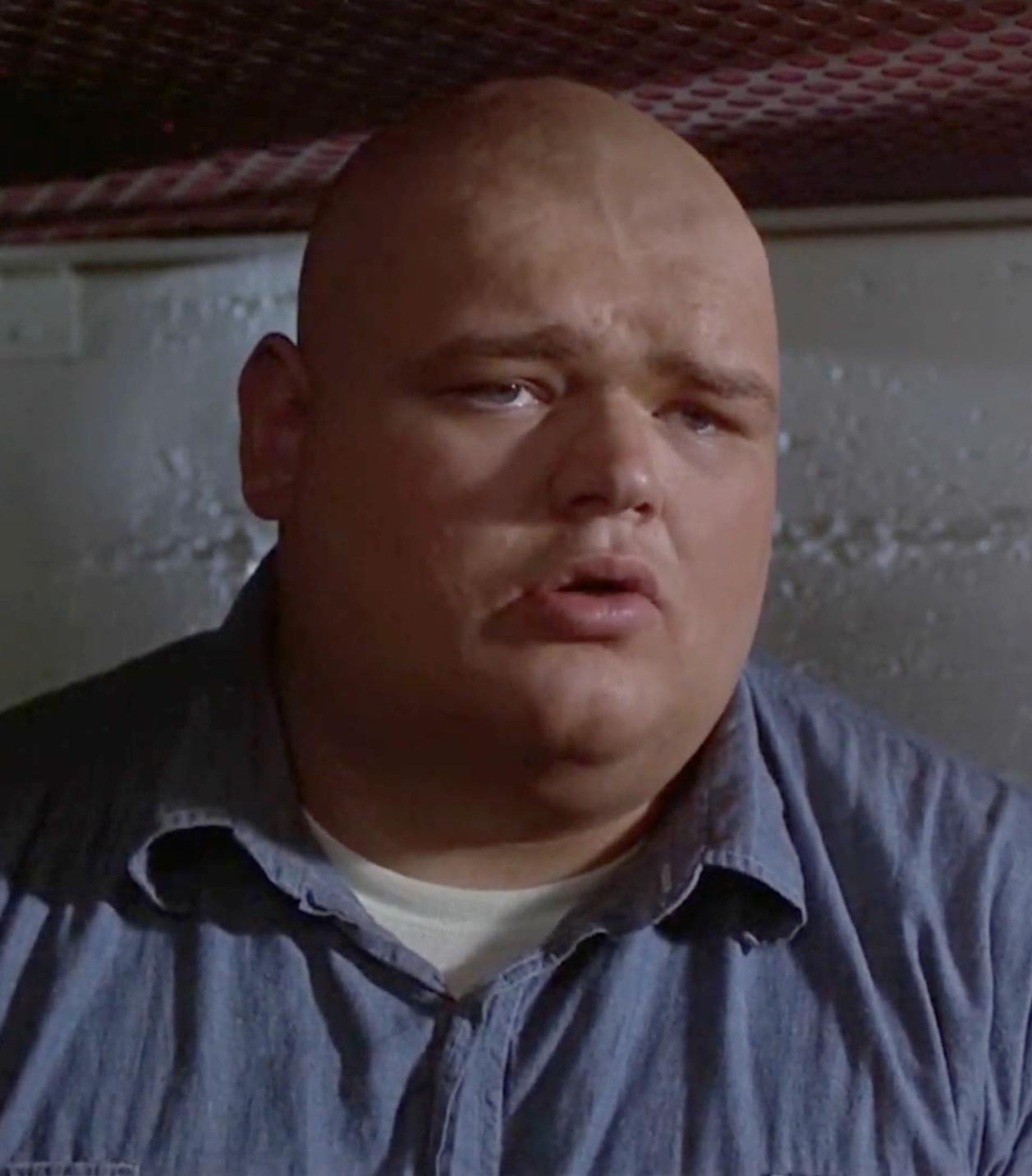 actor Erland van Lidth large photo