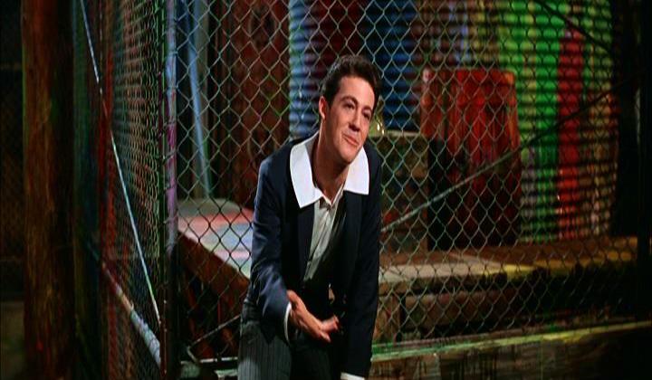 actor Paul Wallace large photo