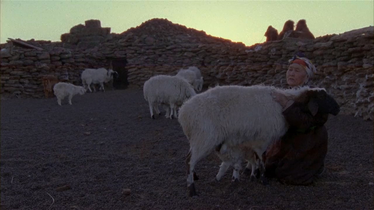 actor Zeveljamz Nyam large photo