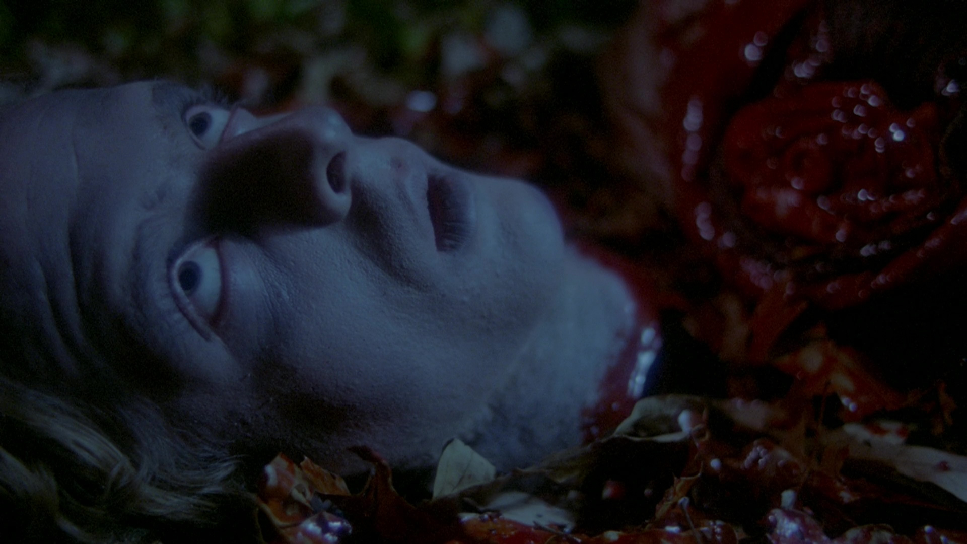 actor Seth Jones large photo