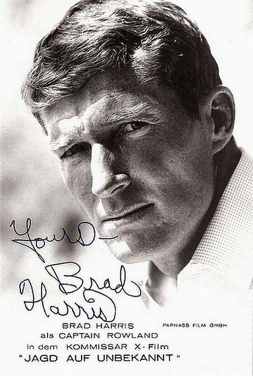 actor Brad Harris large photo