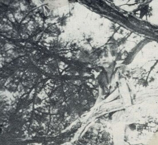 actor Carl R. Botefuhr large photo