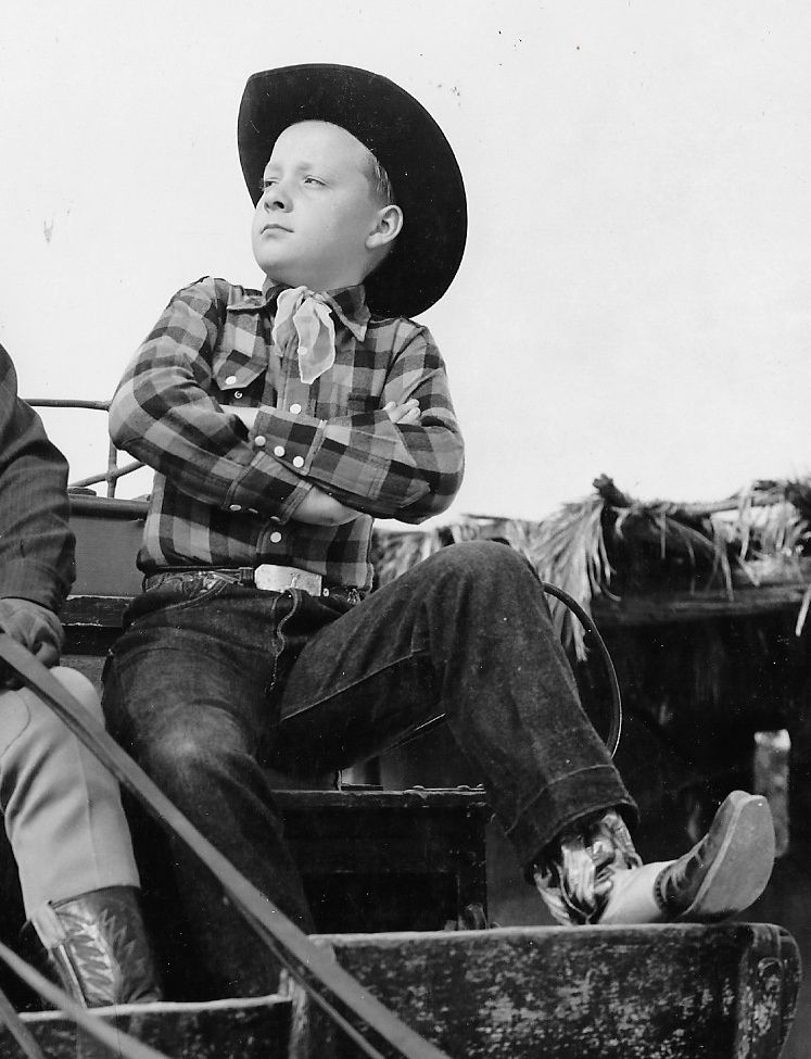 actor Don Stewart large photo