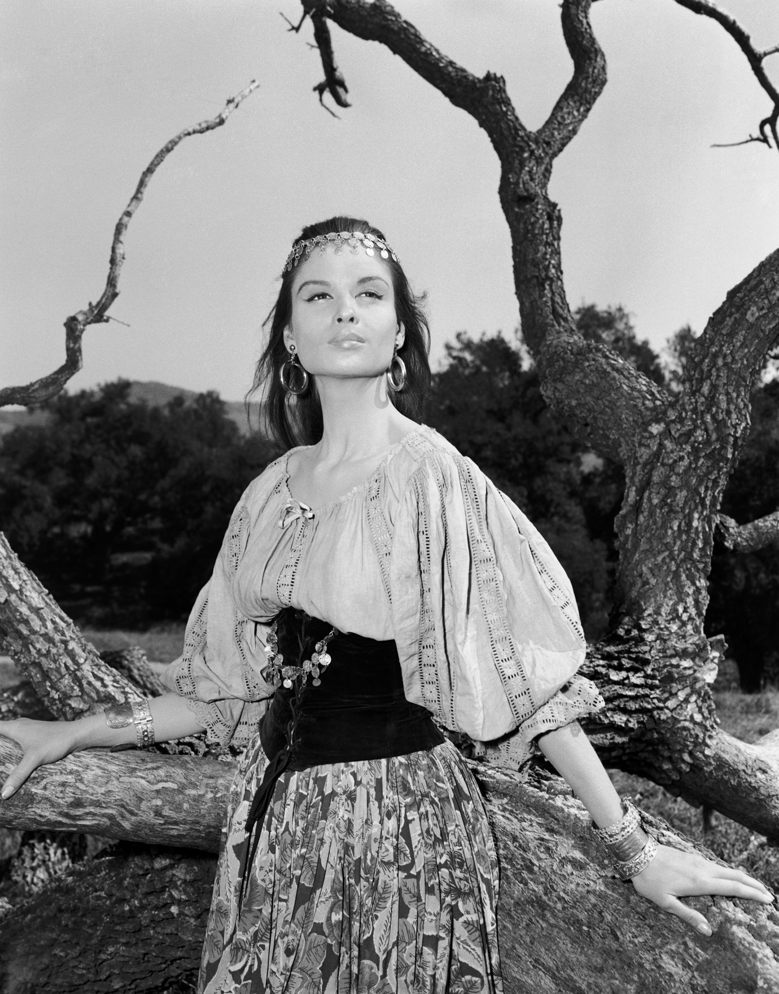 actor Susan Harrison large photo